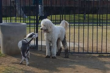 Riverwalk Dog Park photo 1